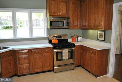 1038 Dalebrook Dr, Alexandria, VA 22308 - photo 5