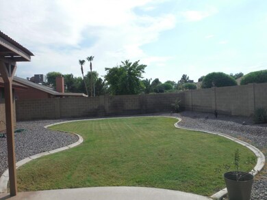 Back yard
