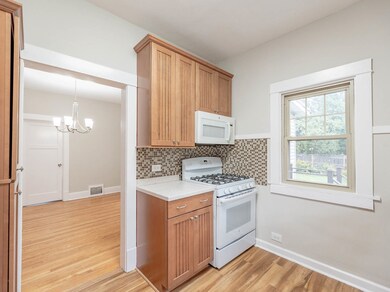 256 Stanley Ave, Waukegan, IL 60085 - photo 7