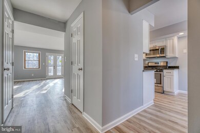 353 Town Green Way, Reisterstown, MD 21136 - photo 3