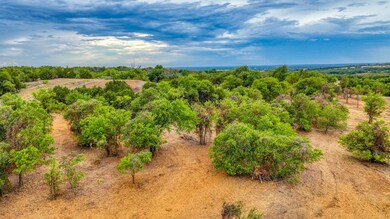 Lot 1 Pine Rd, Poolville, TX 76487 - photo 7