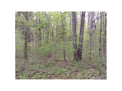 0 Shewmaker Ln SE unit 201502961, Elizabeth, IN 47117 - photo 2