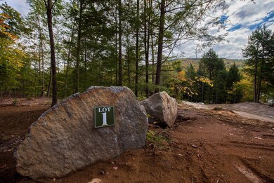 12-12-10-4 Jacob Hall Farm Rd, Rumney, NH 03266 - photo 4