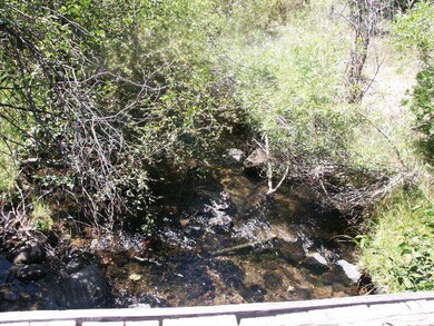 nearby stream