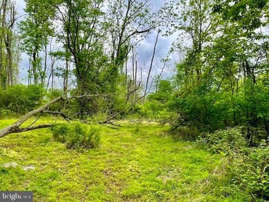 0 Upper Stump Rd unit PABU2071278, New Britain, PA 18914 - photo 4