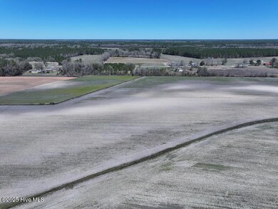 0 N Carolina 53, Kelly, NC 28448 - photo 7