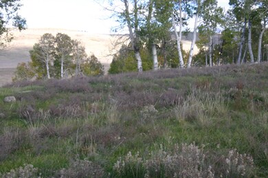 Level Ground on Lot 74