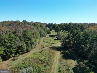 0 Erastus Church Rd unit 10647273, Commerce, GA 30530 - photo 6