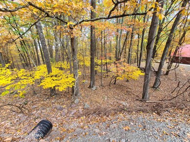 Lot 712 Eagle Pass, Swiftwater, PA 18326 - photo 4