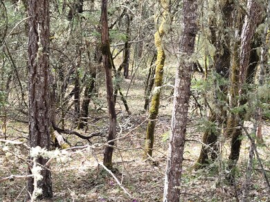 6998 Lower River Rd, Grants Pass, OR 97526 - photo 5