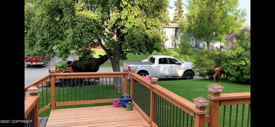 Front Yard