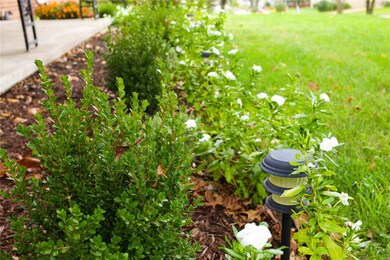 1319 Whitney Ln, Rolla, MO 65401 - photo 7