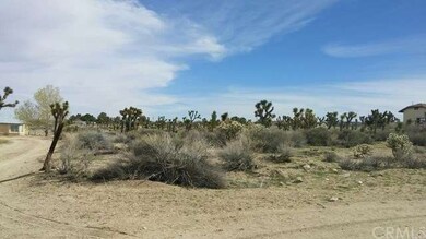 Lot View