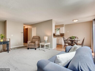 10149 103rd Ave Maple Grove MN-005-011-Living Room