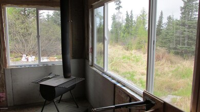 Forest view