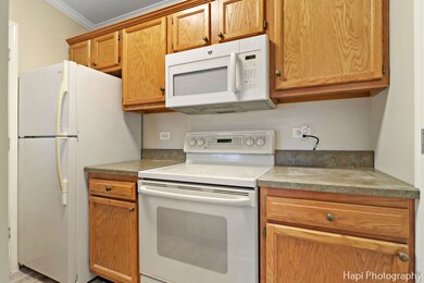 4408 W Shamrock Ln unit 3D, McHenry, IL 60050 - photo 6