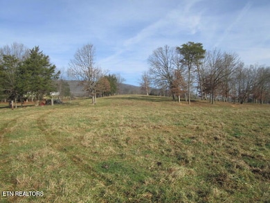 503 Emory Rd, Blaine, TN 37709 - photo 4