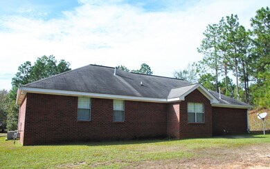Back View