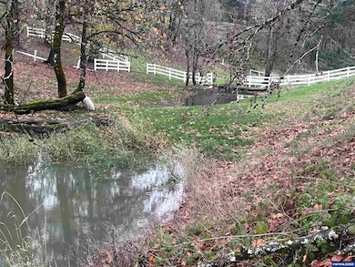 4555 Lobo Ln NE, Silverton, OR 97381 - photo 4