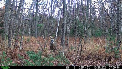 Bader Dr, Hancock, WI 54943 - photo 2