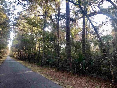 x Flag Lot Off Terrace Ln, Crawfordville, FL 32327 - photo 4