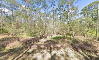 210 2nd St, Georgetown Cove, FL 32139 - photo 5