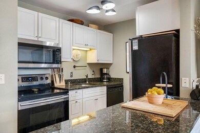 67 Worcester St unit 5, Boston, MA 02118 - photo 4