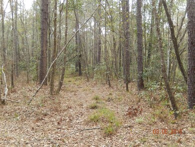 0000 Lightning Ln, Middleburg, FL 32068 - photo 6