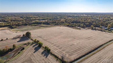 0 W County Line Rd unit Tract 2, Brighton, IL 62012 - photo 5