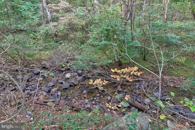 719 Gid Brown Hollow Rd, Washington, VA 22747 - photo 6