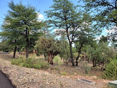 148 Buffalo Run, Pine, AZ 85544 - photo 7