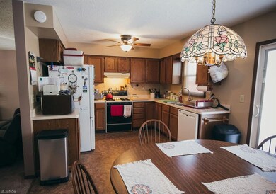 769 Dunny Ave, Sheffield Lake, OH 44054 - photo 5