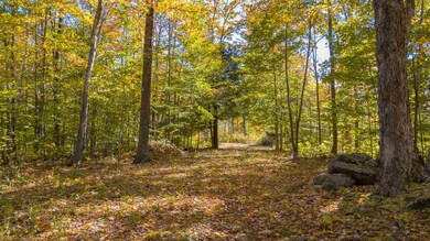 0 N Wilmot Rd, Wilmot, NH 03287 - photo 3