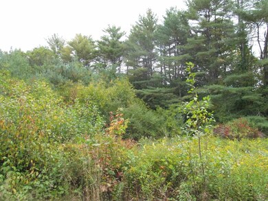 0 Spring St unit 4782493, Newport, NH 03773 - photo 6