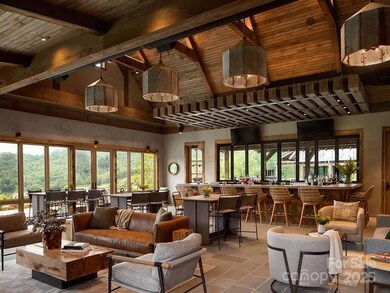 Lt 279 Cabin Flats Rd unit 279, Balsam, NC 28707 - photo 7