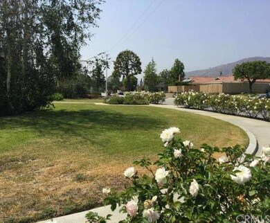 Front Yard View of Neighborhood