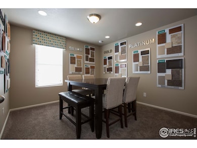 6722 Grainery Rd, Timnath, CO 80547 - photo 3