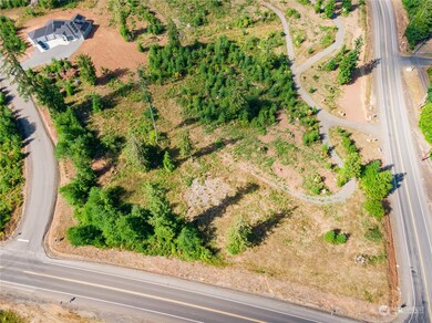 0 Lot 8 S Silver Lake Rd, Castle Rock, WA 98611 - photo 6