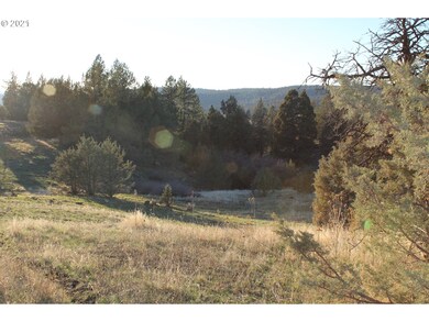 0 Ritter Rd unit 21375247, Long Creek, OR 97856 - photo 5