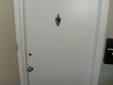 7209 Division St unit A1, River Forest, IL 60305 - photo 4