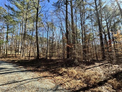 IMG_0517
