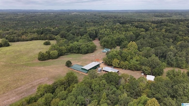 6040 Alabama 28, Snow Hill, AL 36768 - photo 2