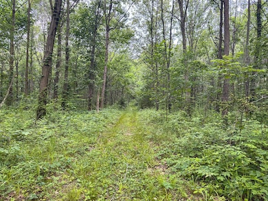 9283 E 250 S, Pierceton, IN 46562 - photo 7