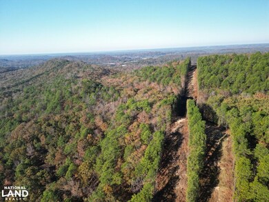 Hwy 11, Pelham, AL 35124 - photo 2