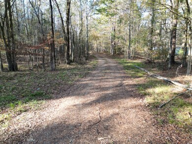 0 Cedar Grove Rd unit 25573750, Buckhead, GA 30625 - photo 7