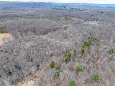 DJI_20250317142936_0465_D