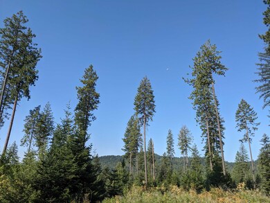 Nkn Veit Rd, Newport, WA 99156 - photo 6