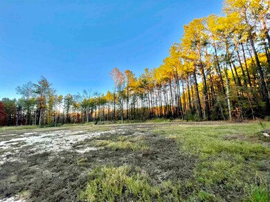 375 Piney Point Dr, Milam, TX 75959 - photo 7