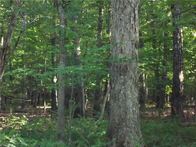 0 Pisgah Covered Bridge Rd unit 1112496, Asheboro, NC 27205 - photo 7