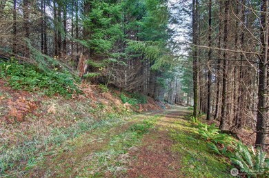 0 Knights Bridge Rd unit NWM2455713, Ariel, WA 98603 - photo 5